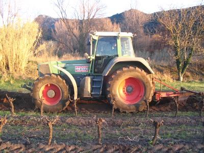 Tracteur en arrachage de souches dans une vigne de l'Hérault