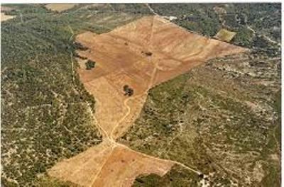 Vue aérienne d'une parcelle défrichée par Jean Roger dans l'Hérault