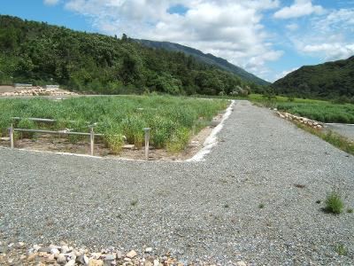 Filtres plantés de roseaux en fonctionnement — station réalisée par Jean Roger