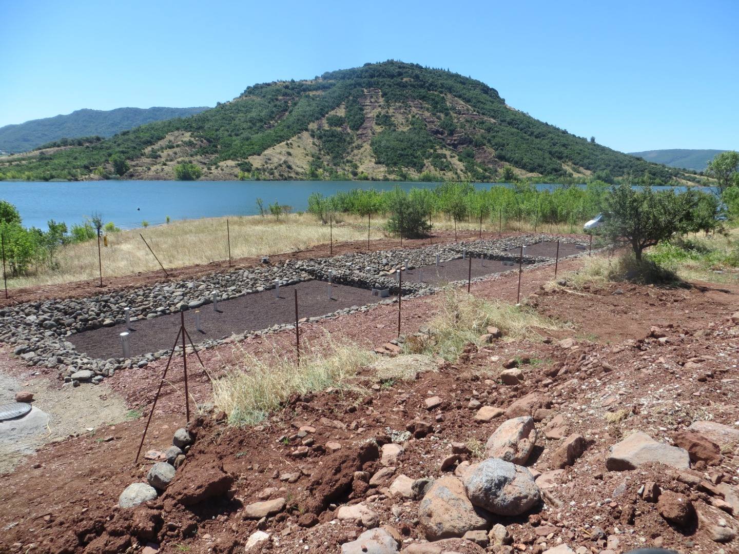 Station à filtres plantés au bord d'un plan d'eau de l'Hérault