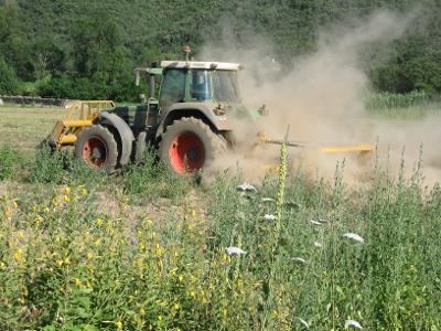Tracteur Jean Roger en débroussaillage mécanique